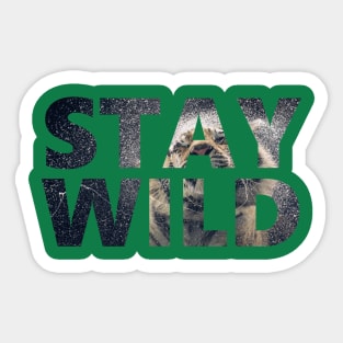 Stay Wild - Tiger Shaking - Positive Sticker